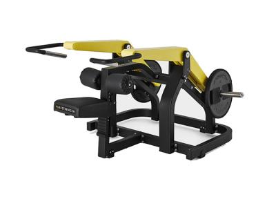 Commercial Hammer Strength Plate Loaded Equipment , Gym Fitness Seated Dip Machine