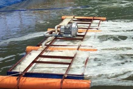 Single Phase Single Stage Air Blower For Electroplating Aeration Fish Pond 1.3kw