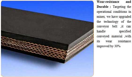 Customized Nylon Rubber Belt  For Heavy Duty Equipment And Continuous Industrial