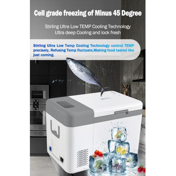 25L сверхнизкотемпературный постоянный ток солнечный холодильник для автомобилей -45C однотоннажный по Refport