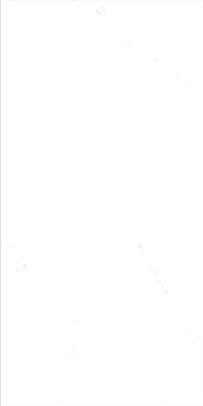 Four Face Infinite Continuous Pattern  Stone Look Porcelain Tile 600x1200mm WY61201