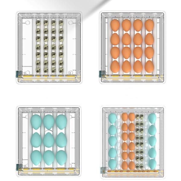 Automatic Eggs Incubator Machine for Poultry Egg Hatching in Shanghai or Nanjing