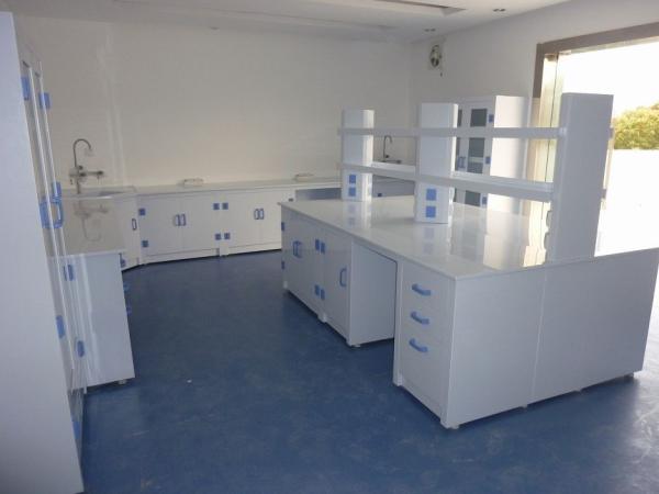 Acid Resistance Lab Tables Work Benches For Pharmaceuticals Company