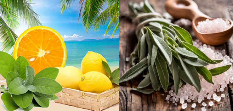 Fragrance Perfume Wholesale  Sage & Sea Salt  Fragrance Oil  For Daily Using Perfume Making