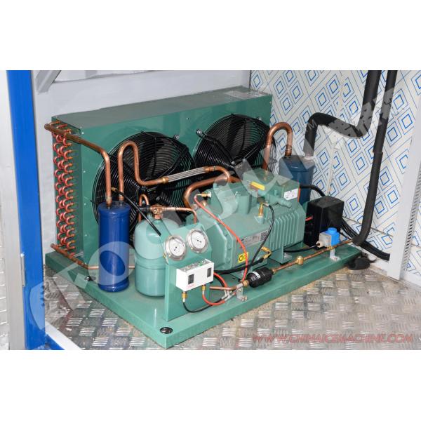 20ft Containerized Cold Room of Color Steel Plate and Bitzer Compressor Ready to Ship