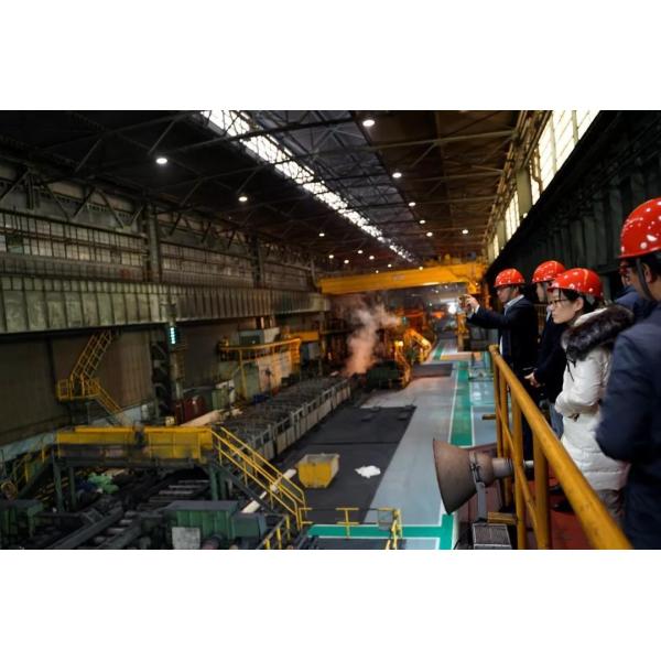 TISCO JISCO гальванизировало покрашенный лист нержавеющей стали подняло лист SS золота