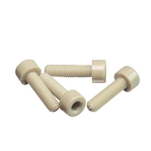 DIN912 CNC Bolt Socket Screw Nylon PA66 Plastic Hexagon Head OEM