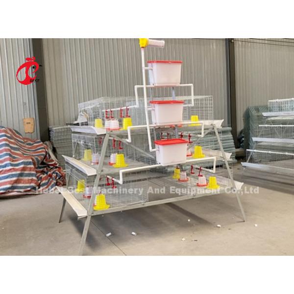 A And H Poultry Broiler Cage Raising Equipment For Day Old Chicks Sandy