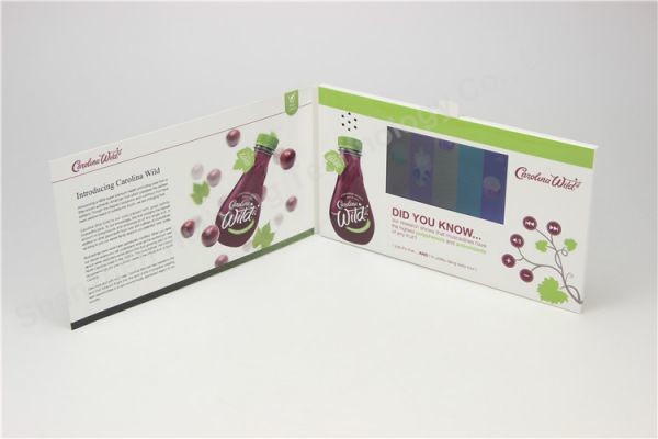 5.0 inch lcd video brochure card for marketing compaign,LCD video booklet