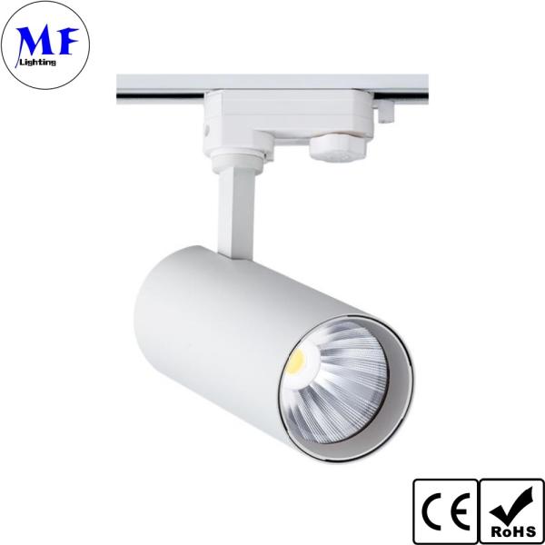 ÉPI mené blanc Dimmable d'appareils d'éclairage de voie