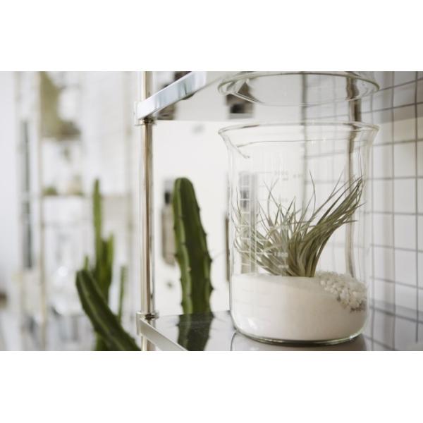 Fashion iron flower display rack /wood flower rack for flower shop