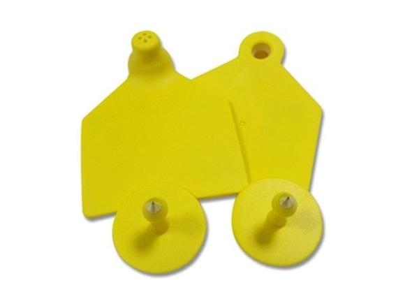 Laser Printing RFID Ear Tag Anti Microbial Coating Optional Frequency