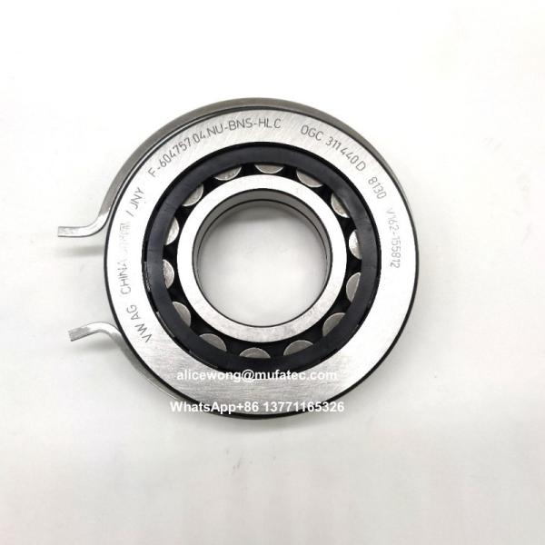 F-604757.04.NU-BNS-HLC Nylon Cage Cylindrical Roller Bearings 28x31x72mm