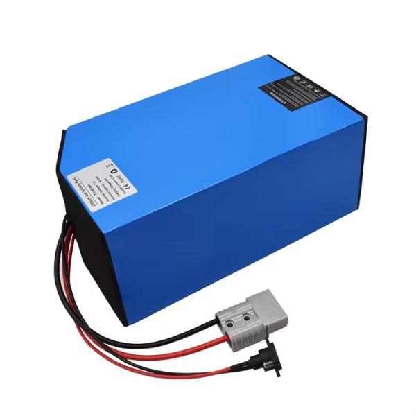 Rechargeable Electric Bicycle Battery Pack 36V 72V 34.8ah 40.6ah 51.2Ah 20ah