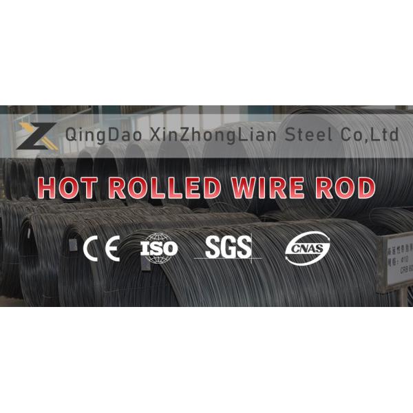 ASTM Standard SAE 1006 Carbon Steel Wire Rod 5.5mm-12mm Hot Rolled Wire Rod Q195/Q235