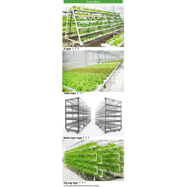 A Type Tower Hydroponics System For Agriculture Greenhouse