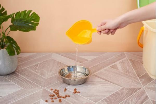 Dog Cat Pet Food Shovel Scoop Spoon, 500ml and 250ml Durable break -resistant pet food bowl spoon with bag clip, scoop