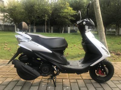 Fast Speed Gas Motor Scooter Belt Transmission 5 L Fuel Tank Capacity