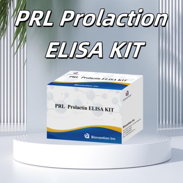 PRL Quantitative Human Hormones Diagnostic Detect Reagent Kit