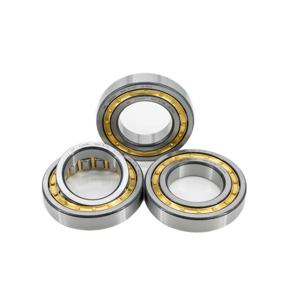 Product Category Single Row Cylindrical Roller Bearings NJ305 NJ306 NJ307 NJ308 NJ309