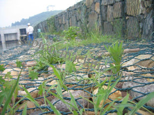 Подпорная стенка используя гальванизированный Pvc покрыла горячее коробки Gabion