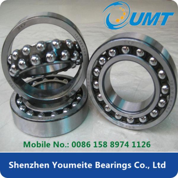 Nylon Cage Brass Retainer Self Aligning Ball Bearing Double Row 2307-2rs TV