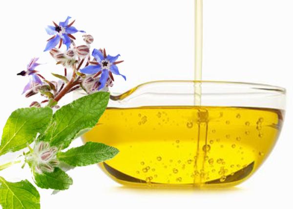 Yellow Colored Liquid Organic Borage Oil Cold Pressed Extraction Process