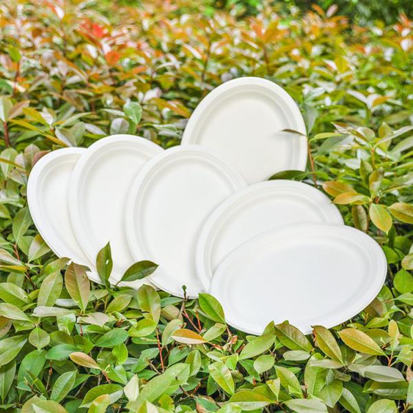 PFAS FREE 6 7 9 10inch Disposable Party Tableware 100% Compostable Disposable Sugarcane Tableware Bagasse Round Plates