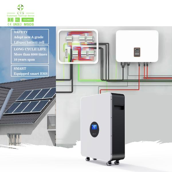 Customized 48V 100Ah 200Ah Energy Storage Battery Rechargeable Power Wall Lithium Ion Battery 5kWh 10kWh for Home Power Backup