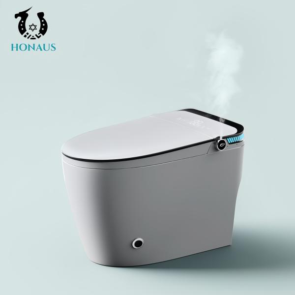 Siphonic Vortex Flush Smart Bathroom Toilet With High Temperature Kiln
