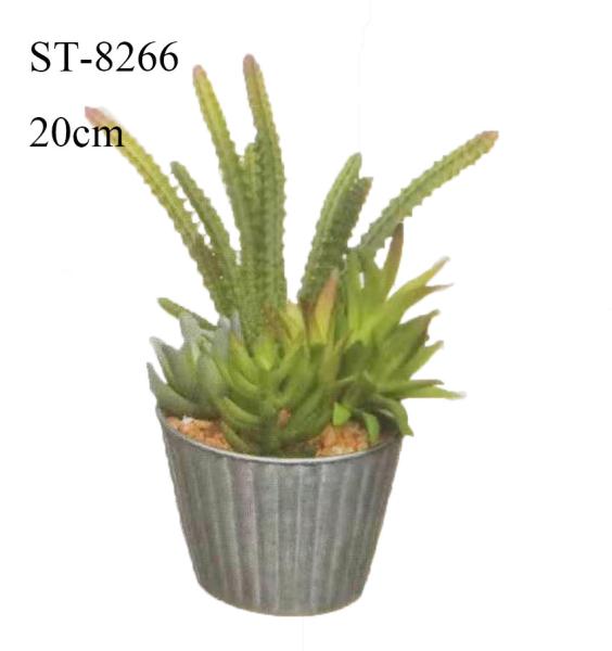 presente artificial pequeno Eco decorativo da planta das plantas carnudas do cacto de 20CM - amigável