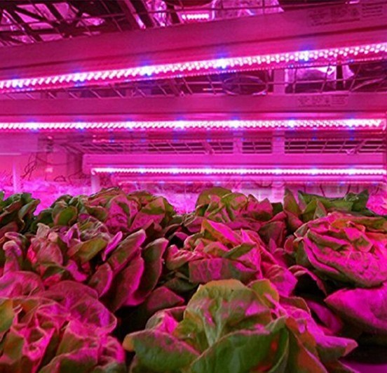 Plant Growth LED Strip Light Plant Grow LED Strip Light Kit Waterproof