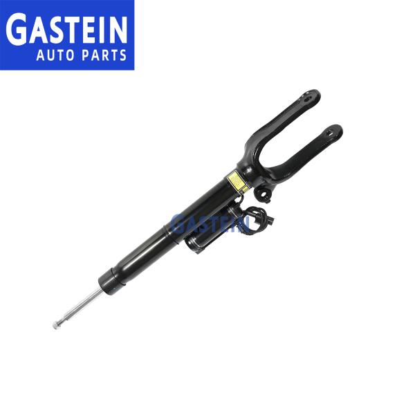 2513200730 2513200330 Mercedes W251 Front Hydraulic Shock