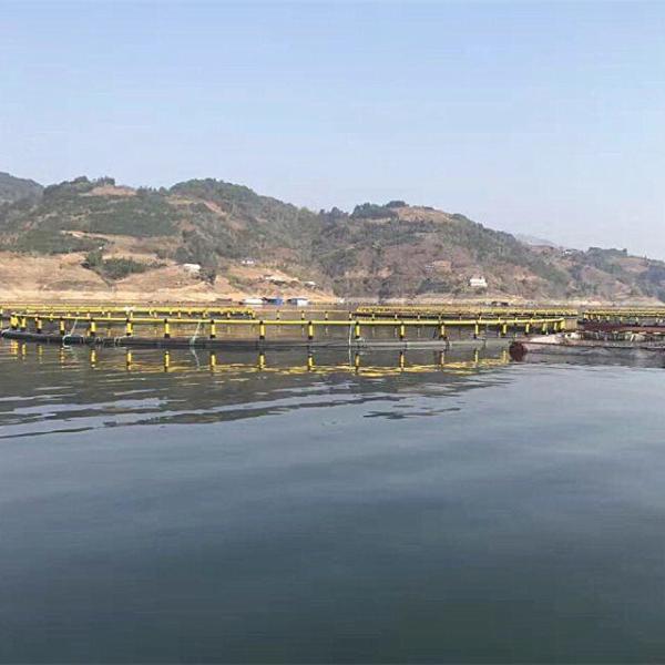 Jaula circular de HDPE para peces, diámetro 13m-50m, para cultivo de tilapia
