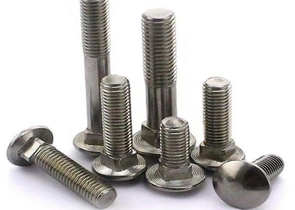 Round Head Square Neck Bolt , Carbon Steel / Stainless Steel Roundhead Bolt