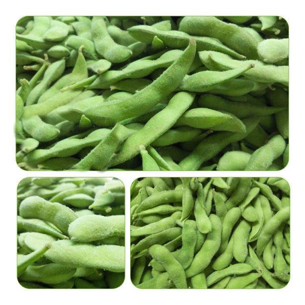 Японский стиль слез сои замороженных фасолей Edamame замороженные
