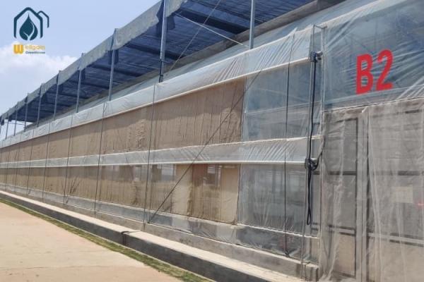 Outdoor Commercial Farming Agriculture Metal Frame Multi Span Large Plastic Greenhouse