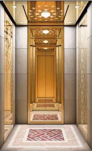 Infrared Photocell Commercial Passenger Elevator 3m/s 8 Person Passenger Lift