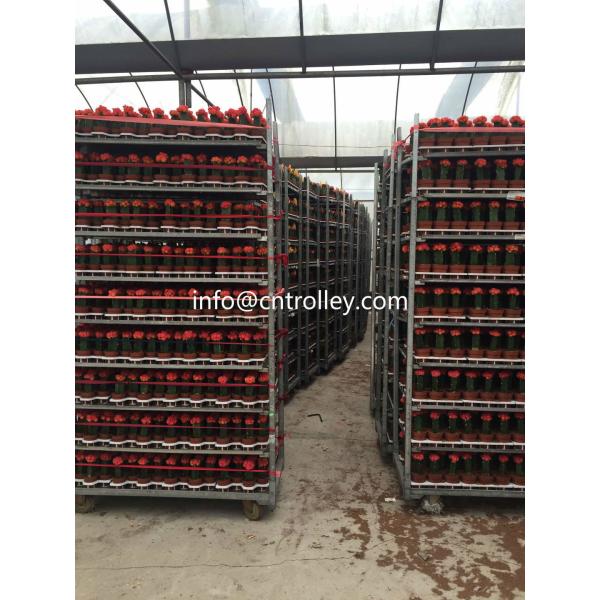 Horticulture Danish Flower Trolley Flower Seedling Cart 1350*565*1900mm