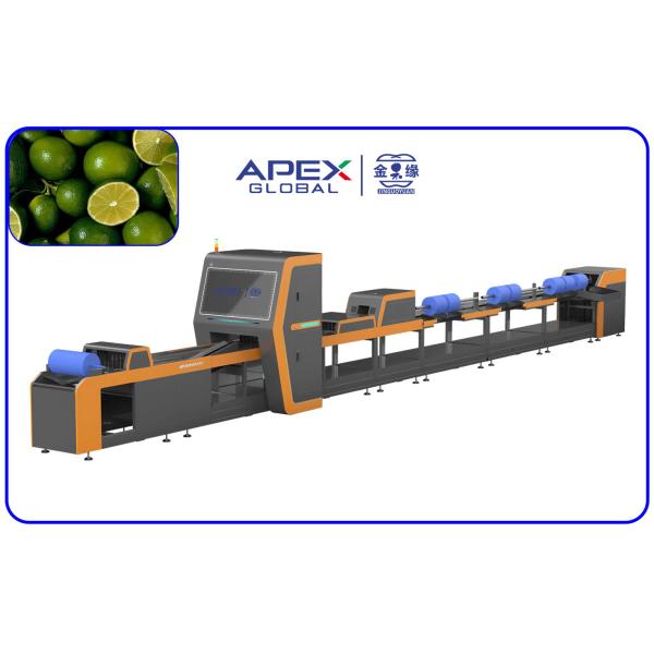 380V / 50Hz Automatic Lemon Sorting Machine With PLC Control System