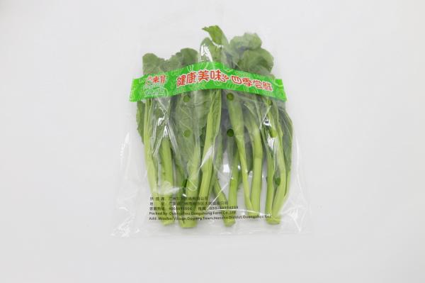 Produto comestível liso de empacotamento orgânico da boca do saco do vegetal de fruto OPP