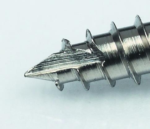 Titanium Alloy Orthodontic Micro Screws Dental Orthodontic Microimplants