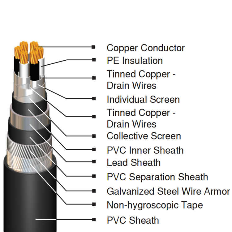 RE2YKRY 300/500V Armoured Instrument Cable with 1-50 Pairs and Copper Conductor for Industrial Use