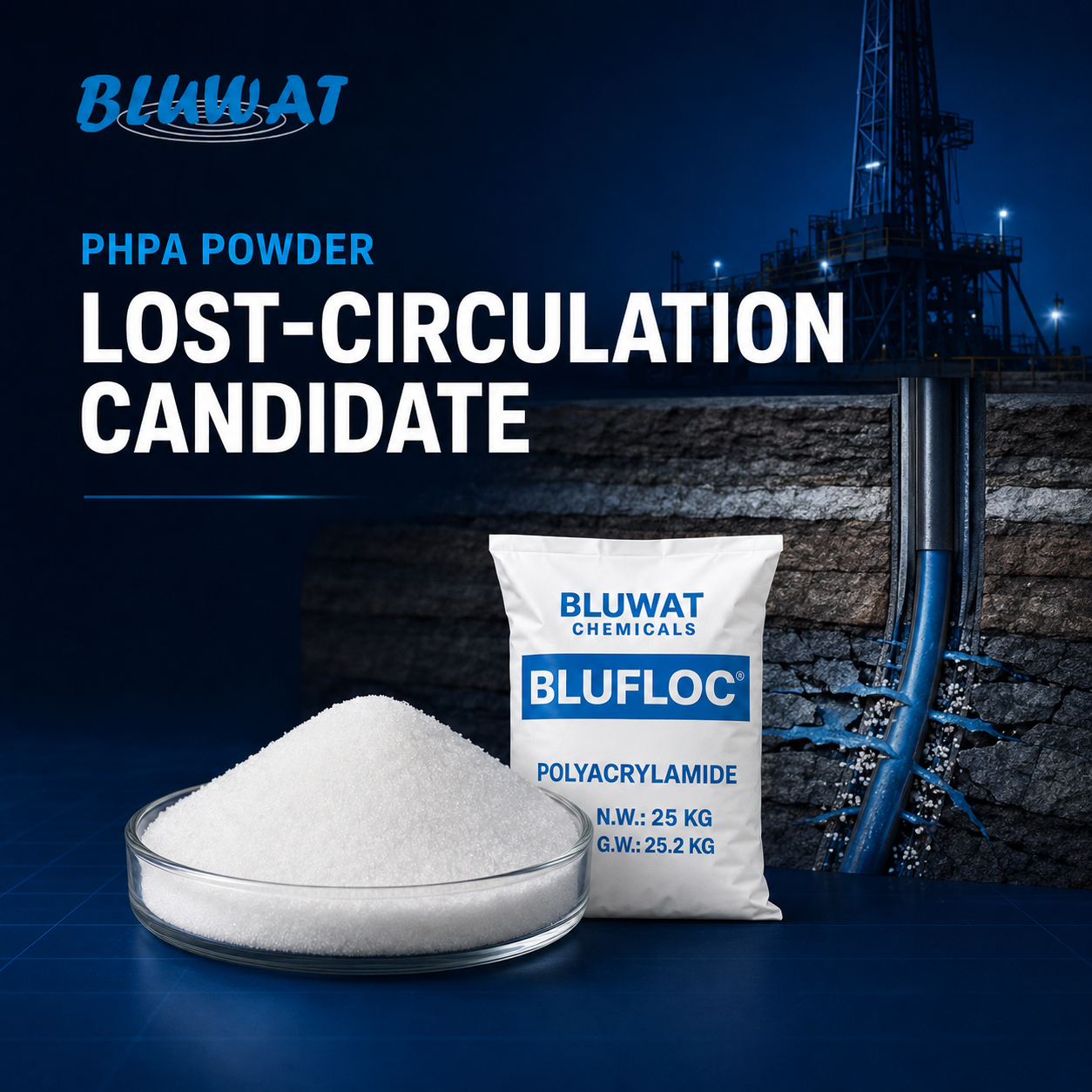 Crosslinkable PHPA Powder Candidate for Lost-Circulation Control