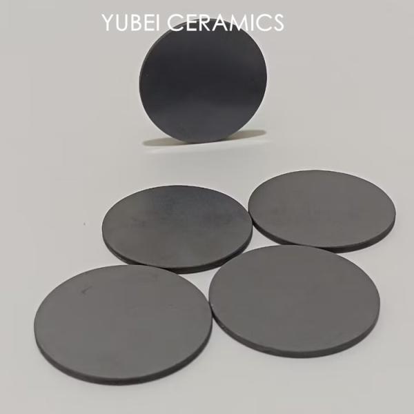 Wearing Parts Solution Silicon Carbide Ceramics Disc for Long-Lasting Performance