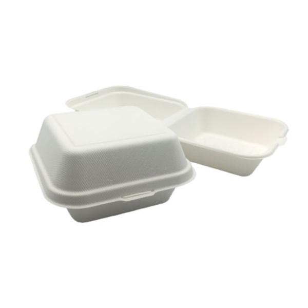 6×6 Inch 530ml 20g Biodegradable Food Boxes