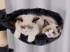 Luxury Indoor Cat Tree with Multi-Level Wood Tower 2 Widened Plush Perches & Halloween Cat Condo Scratching Board Modern Style