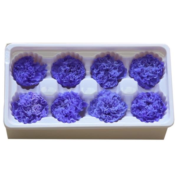 Factory Price Preserved Flowers Real Preserved Carnation For Mother