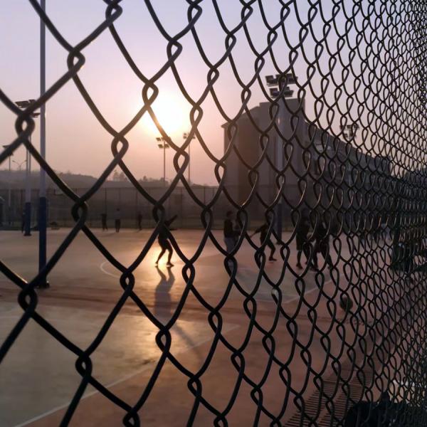Pvc Coated Hot Dipped Galvanized Chain Link Fence Rolls 50m