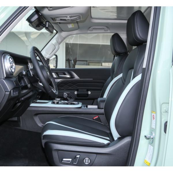 2023 Tank300 2.0T City Model Must Version Compact SUV 5